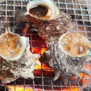 ―――　ＢＢＱ　―――